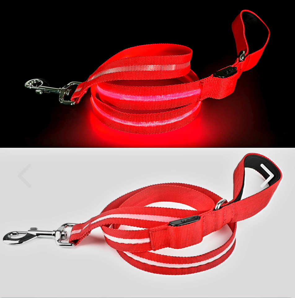 🐾🐶 Correa LED recargable para mascotas – 🔴 Rojo, 🔵 Azul, 🟢 Verde – Seguridad nocturna 🐶🐾