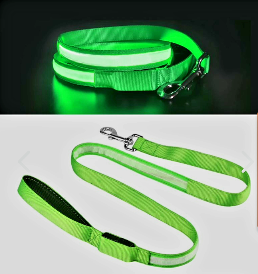 🐾🐶 Correa LED recargable para mascotas – 🔴 Rojo, 🔵 Azul, 🟢 Verde – Seguridad nocturna 🐶🐾