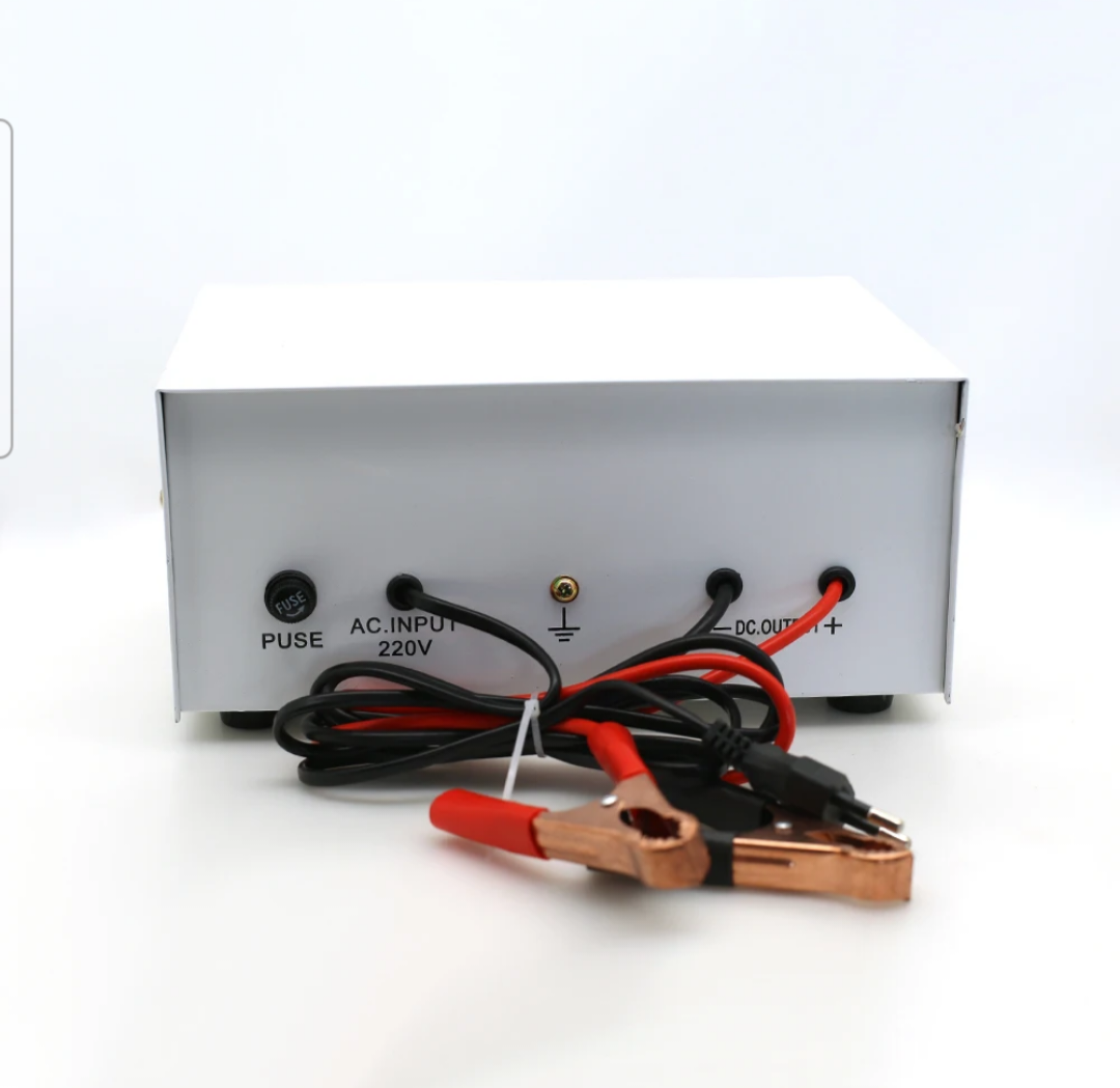 Cargador de baterías portátil 6V-12V